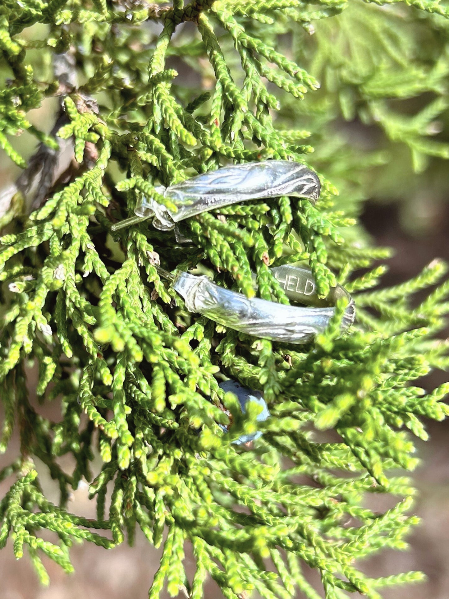 Morning Glory Earrings